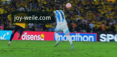 在微乐游戏平台畅玩中掌握阿根廷队世界杯备战动态的实战教程